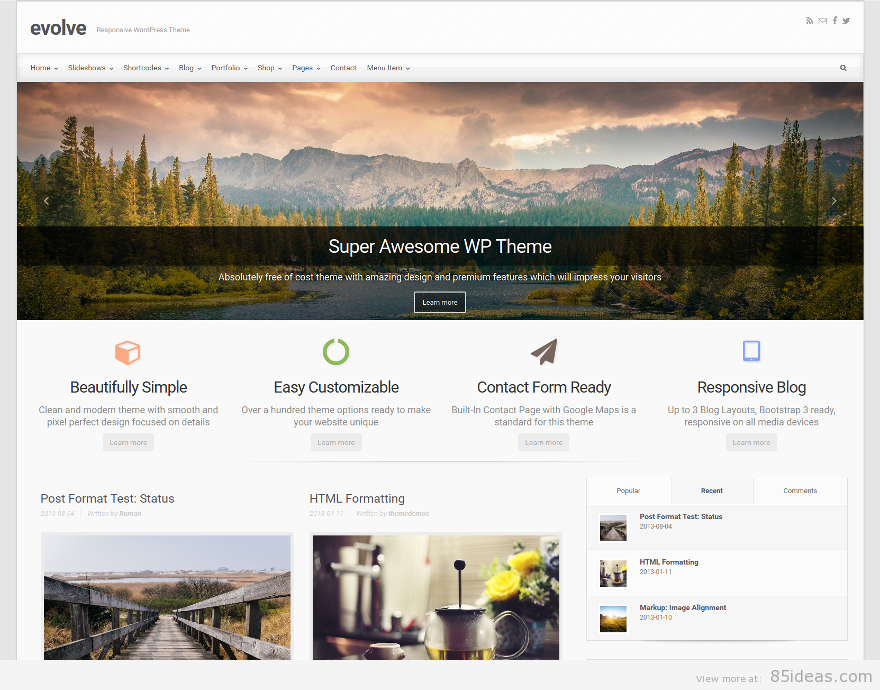 Theme WordPress làm diễn đàn forum miễn phí - Evolve Free Theme