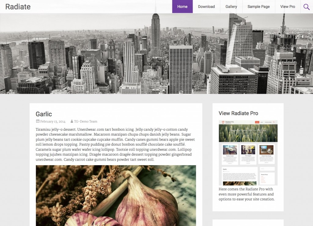 Top 15 Theme WordPress làm blog miễn phí đẹp nhất 2016