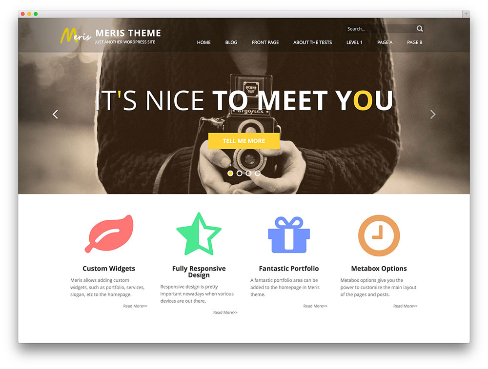 1460044308-6986-meris-agency-theme