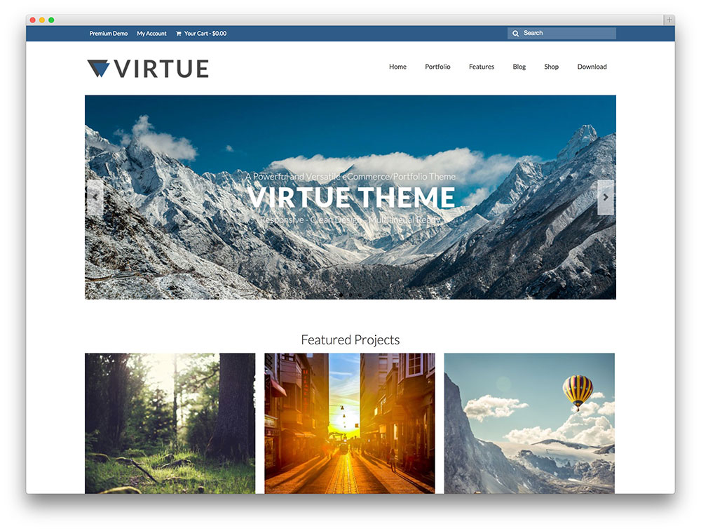 1460044527-9079-virtue-portfolio-theme