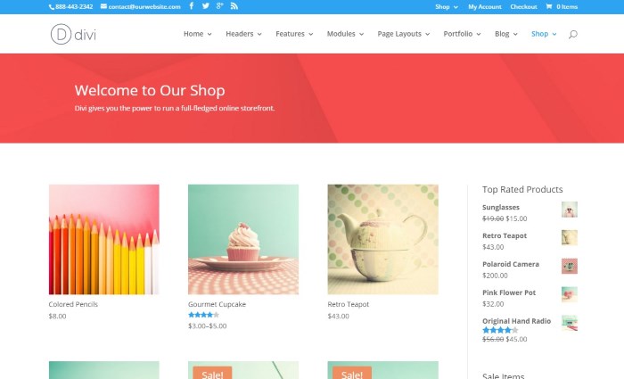 Top 10 theme wordpress bán hàng tốt nhất 2017