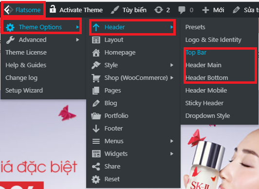 theme-options-header.png