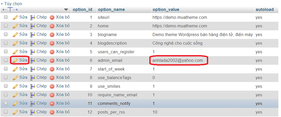 Hướng dẫn thay đổi email admin và email người dùng trong WordPress mới