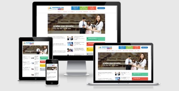 Theme Wordpress giới thiệu công ty dịch vụ kế toán báo cáo thuế
