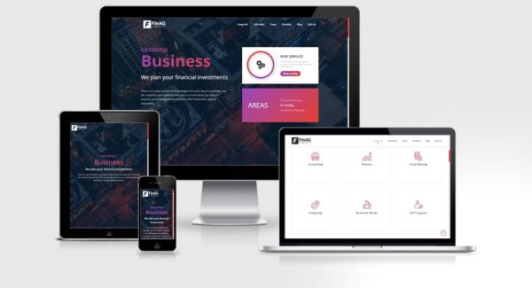 Theme Wordpress công ty Agency mẫu số 2 - FinAG
