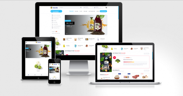Theme Wordpress thực phẩm cao cấp số 12